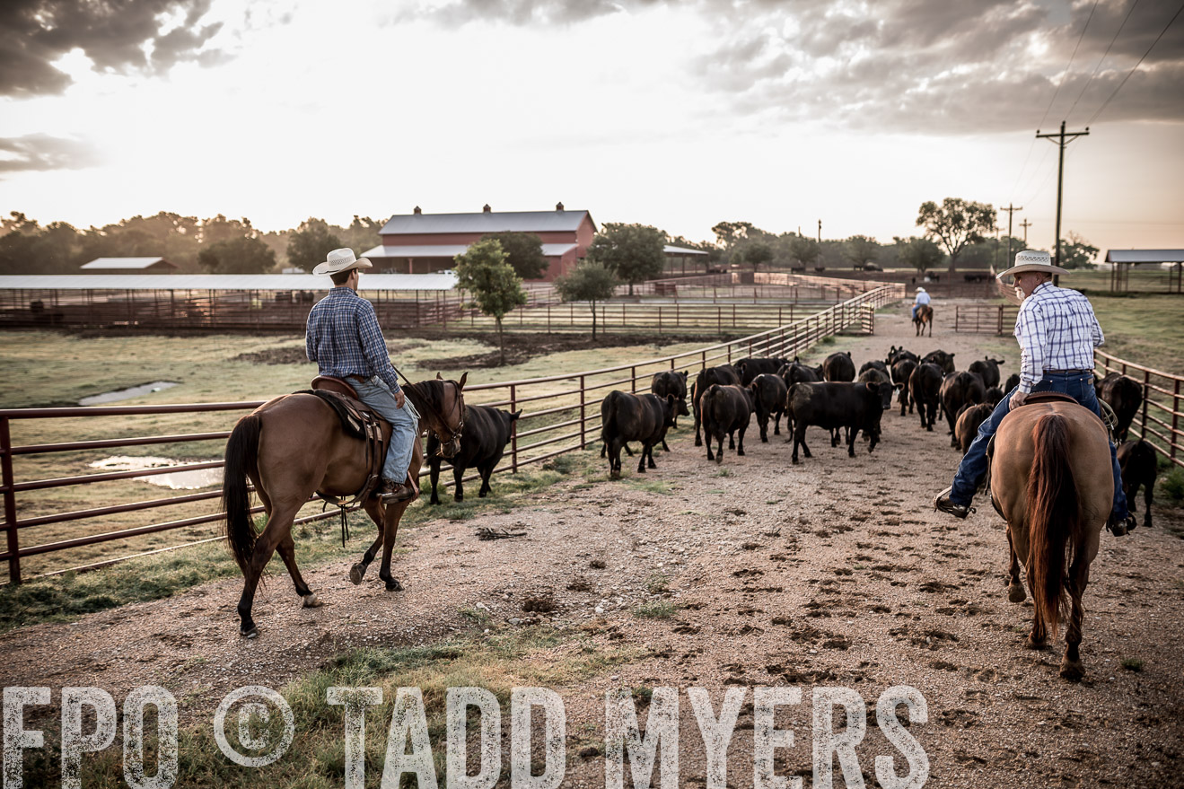 TMyers_CameronTX_June2016-6248