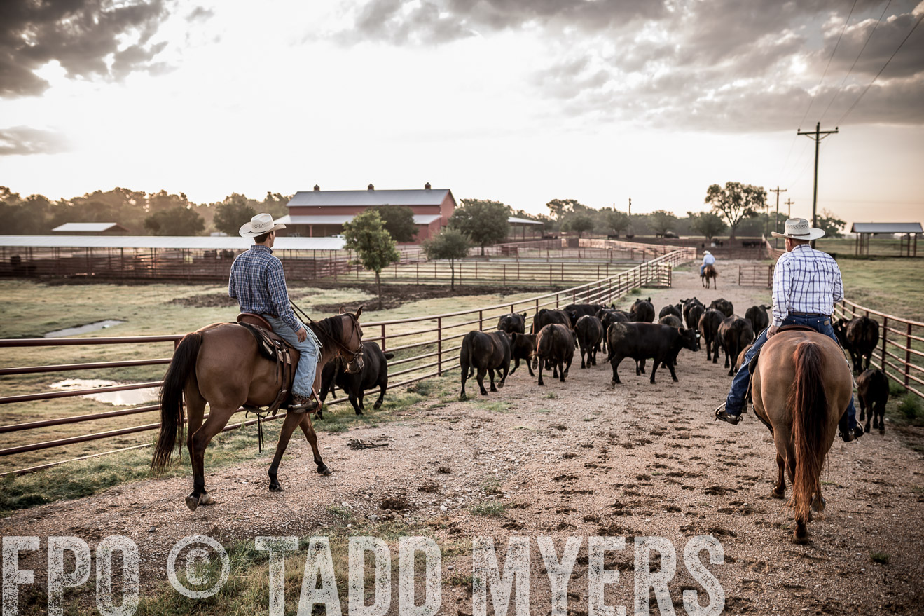 TMyers_CameronTX_June2016-6249