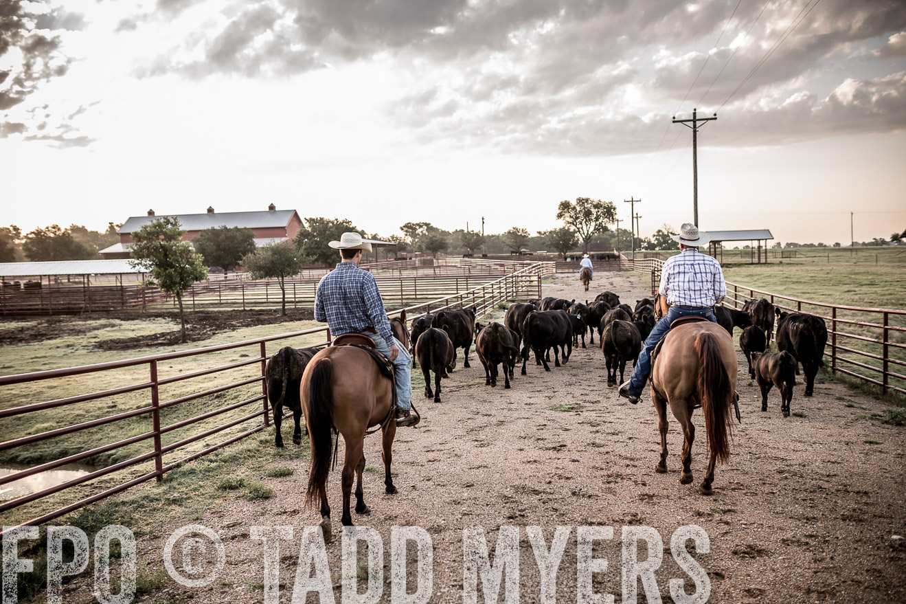TMyers_CameronTX_June2016-6262