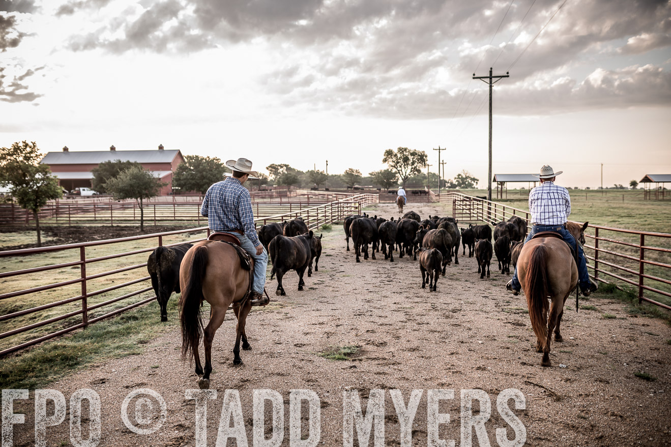 TMyers_CameronTX_June2016-6266