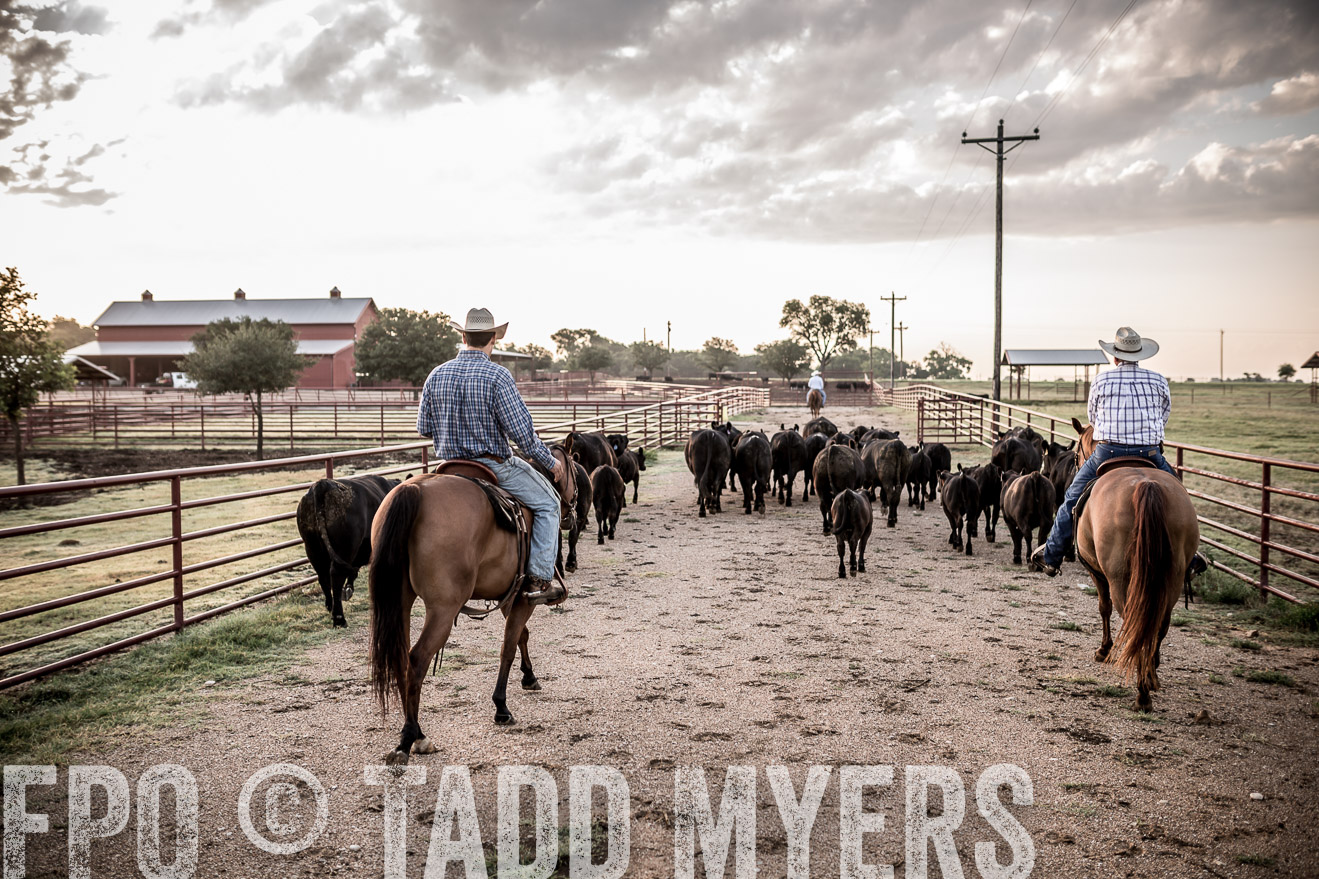 TMyers_CameronTX_June2016-6270
