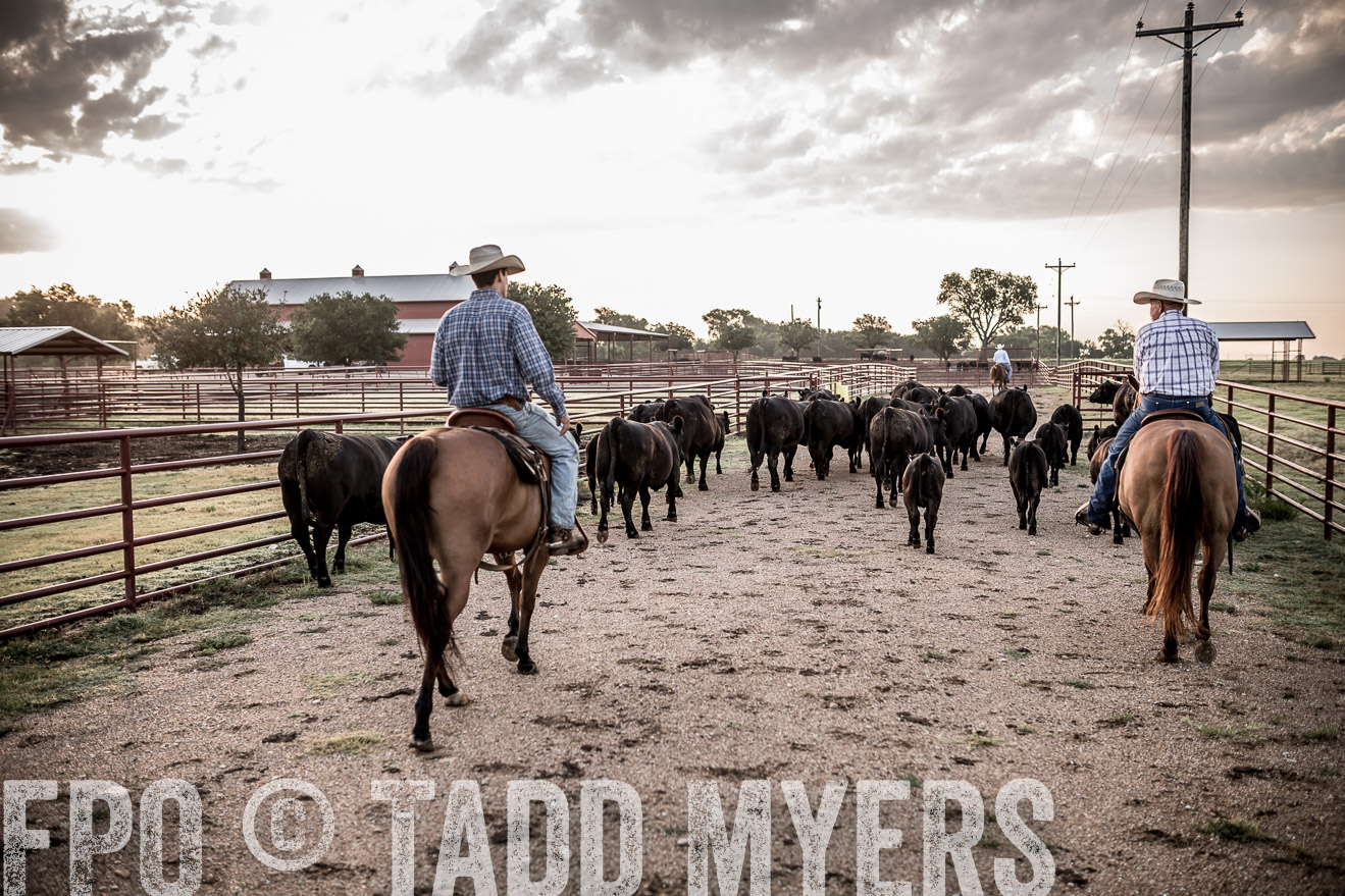 TMyers_CameronTX_June2016-6274