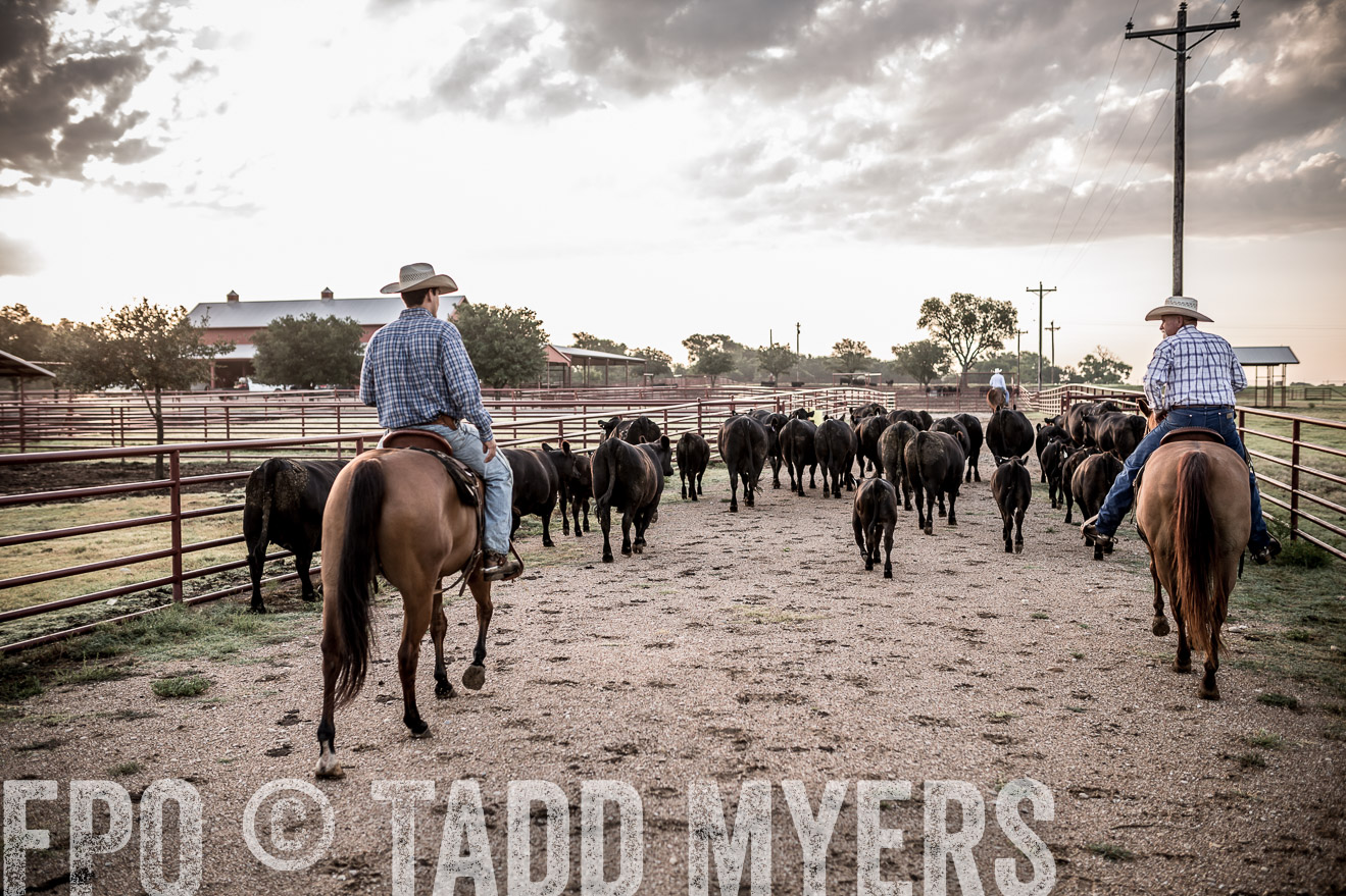 TMyers_CameronTX_June2016-6278