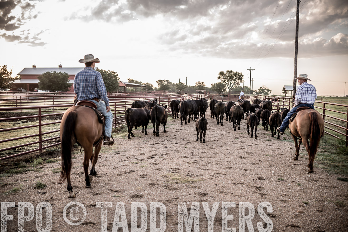 TMyers_CameronTX_June2016-6282