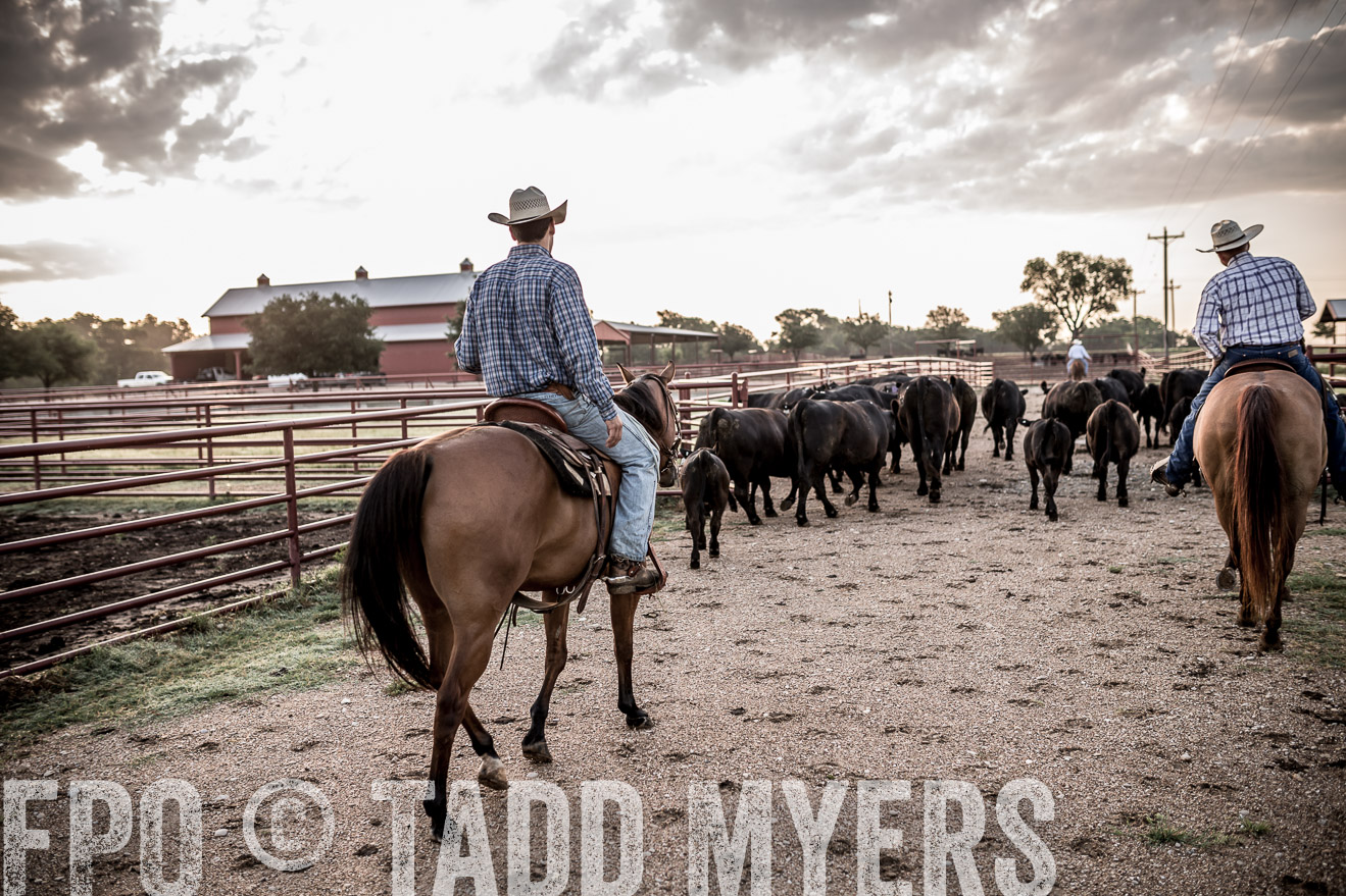 TMyers_CameronTX_June2016-6286