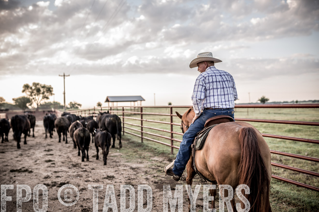 TMyers_CameronTX_June2016-6293