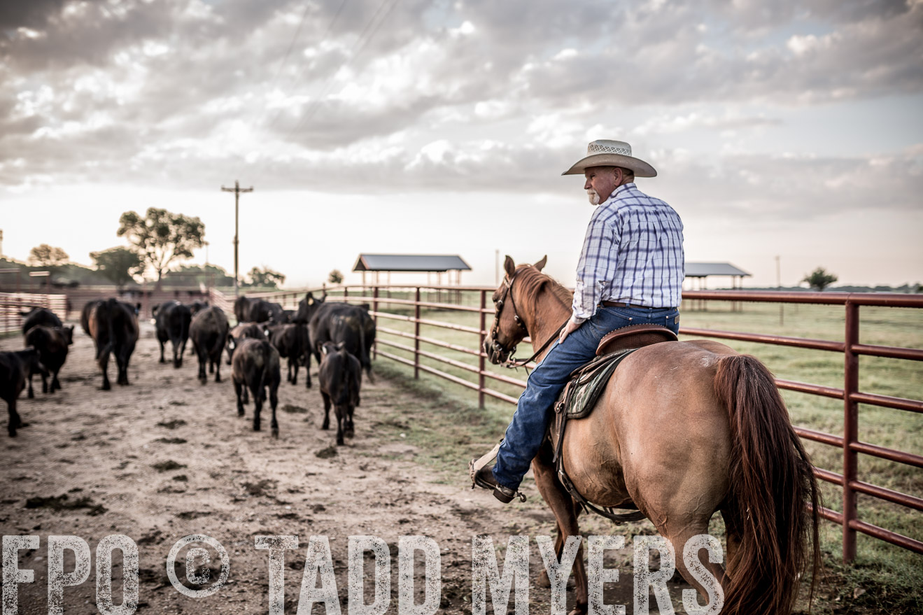 TMyers_CameronTX_June2016-6294