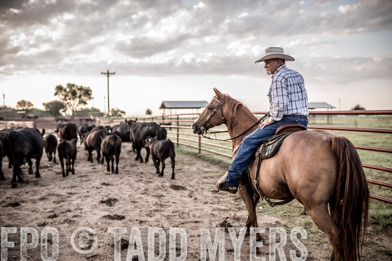 TMyers_CameronTX_June2016-6297