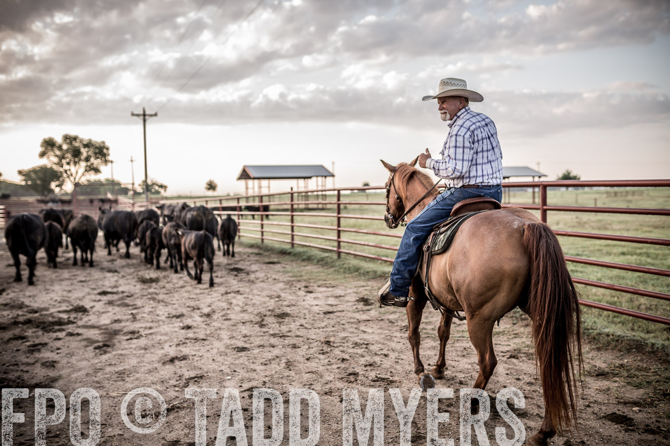 TMyers_CameronTX_June2016-6304