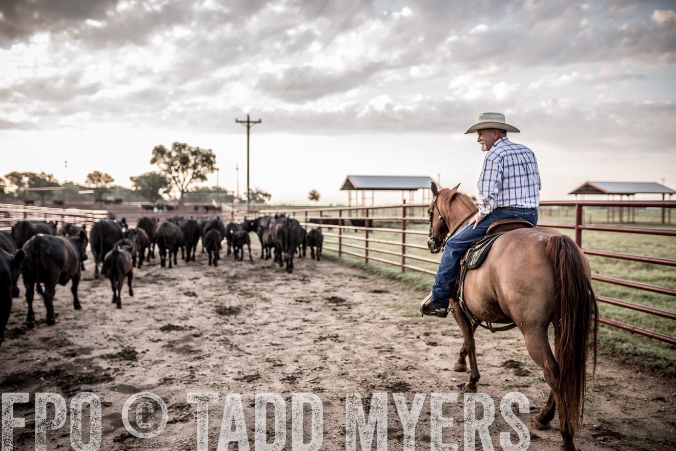 TMyers_CameronTX_June2016-6308