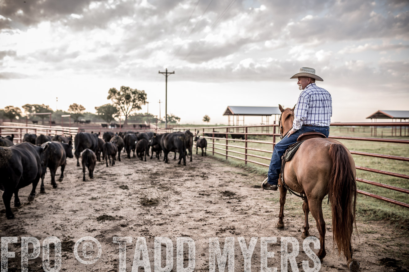TMyers_CameronTX_June2016-6313