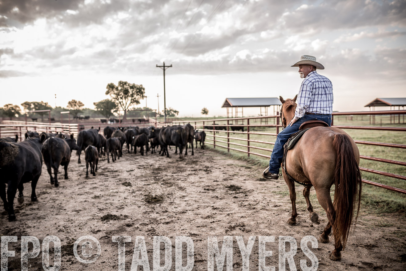 TMyers_CameronTX_June2016-6314