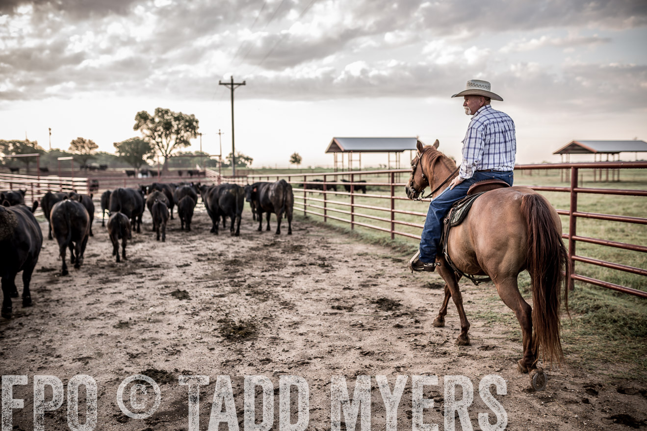 TMyers_CameronTX_June2016-6316