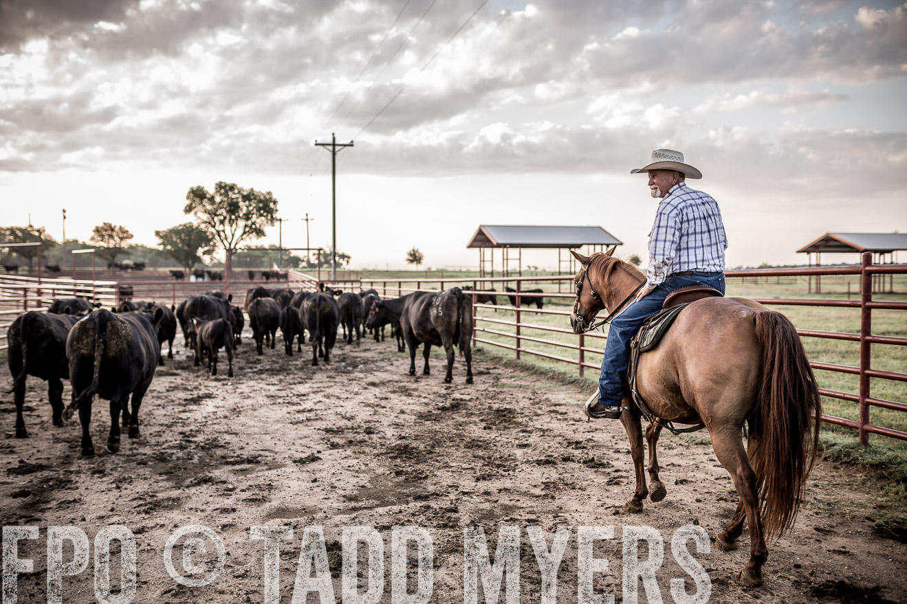 TMyers_CameronTX_June2016-6324