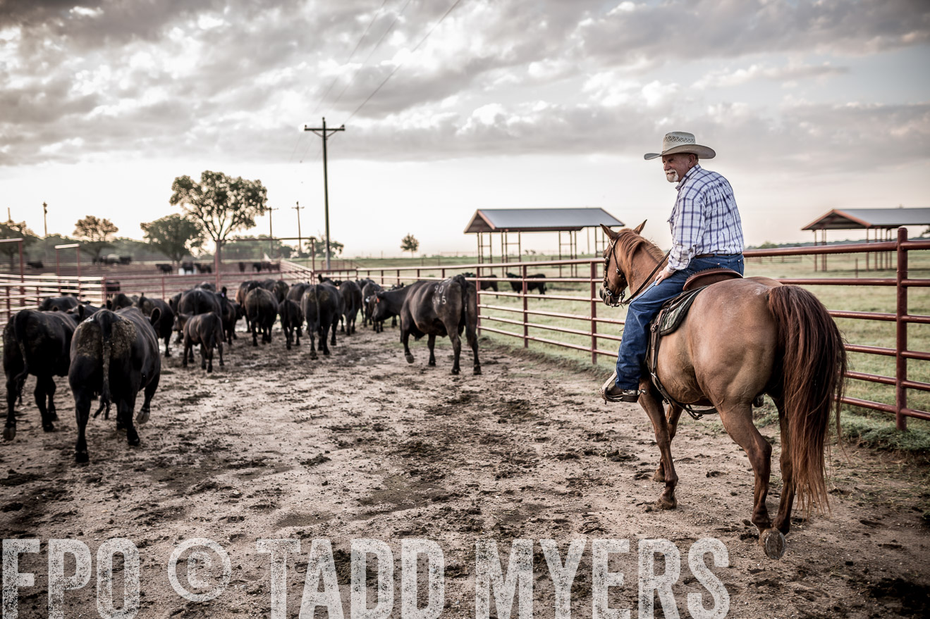 TMyers_CameronTX_June2016-6325