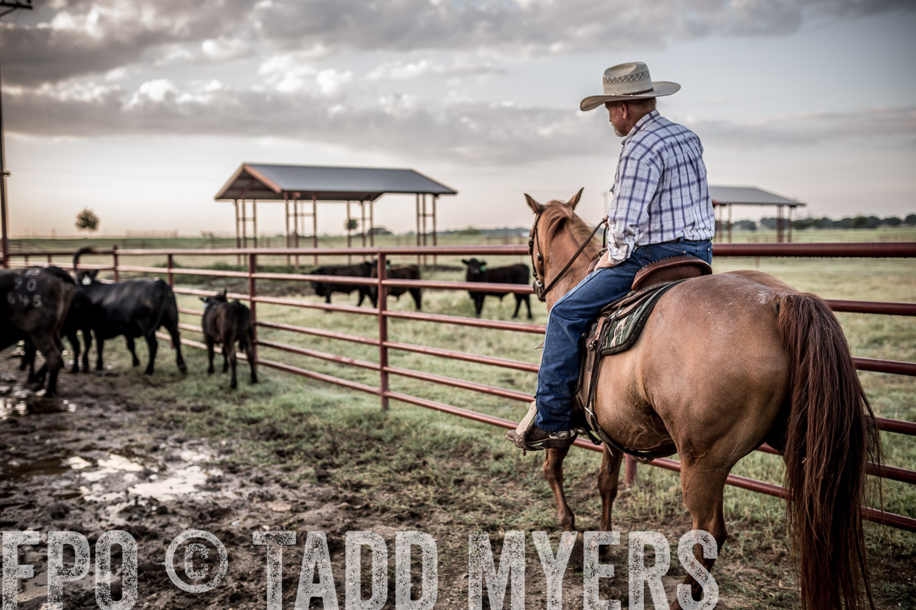 TMyers_CameronTX_June2016-6335