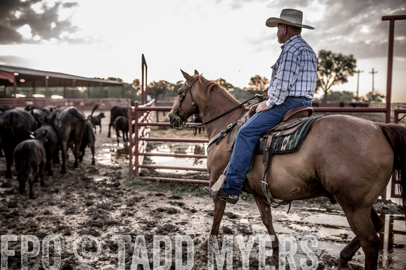 TMyers_CameronTX_June2016-6343