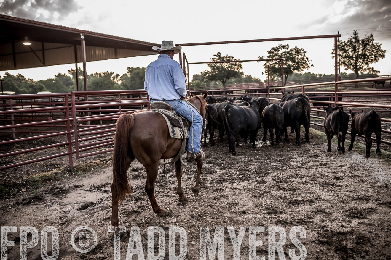 TMyers_CameronTX_June2016-6372