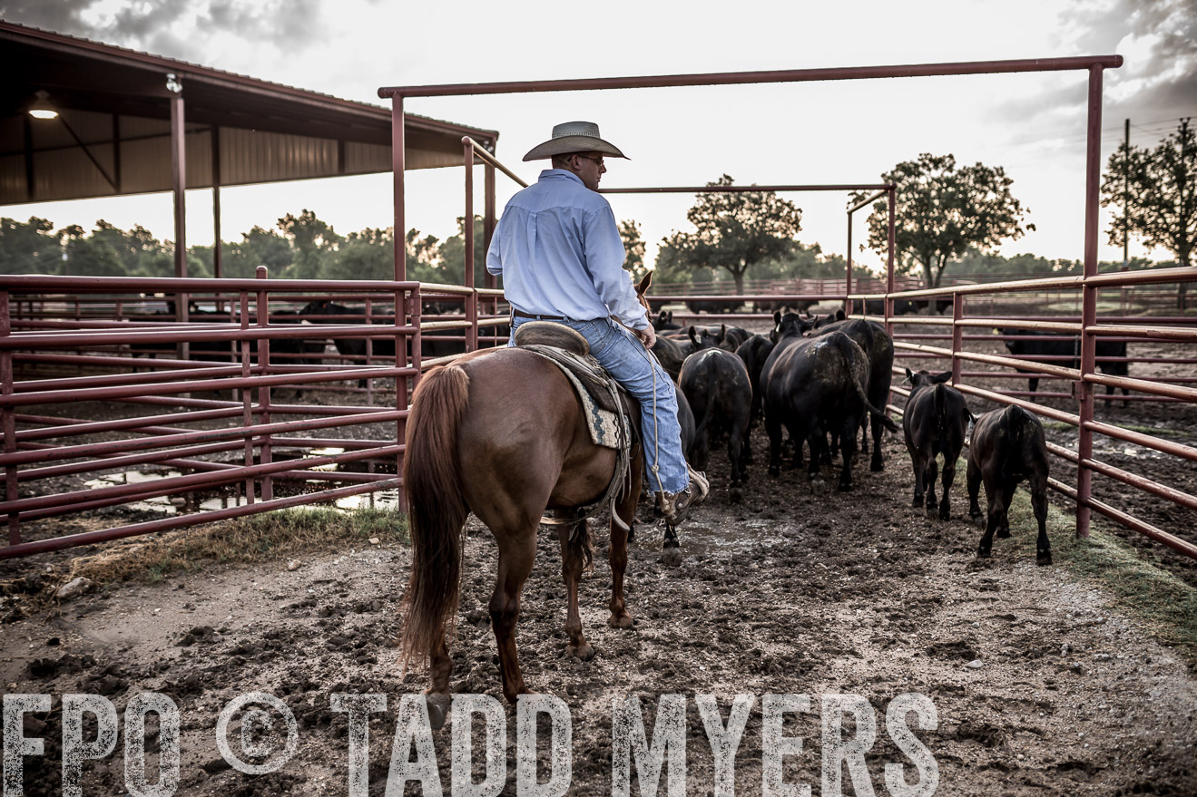 TMyers_CameronTX_June2016-6374