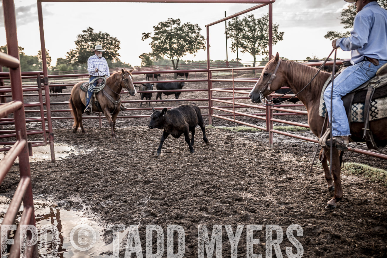 TMyers_CameronTX_June2016-6427