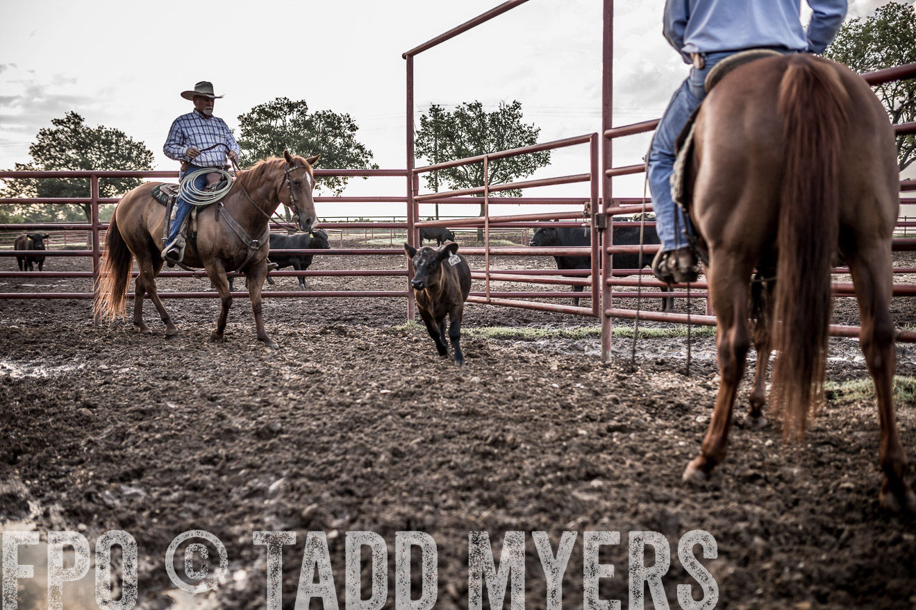 TMyers_CameronTX_June2016-6441