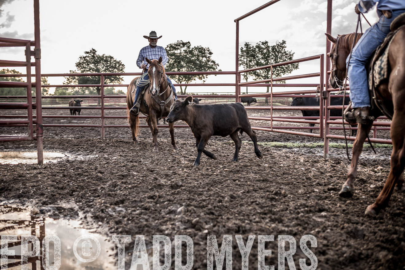 TMyers_CameronTX_June2016-6443