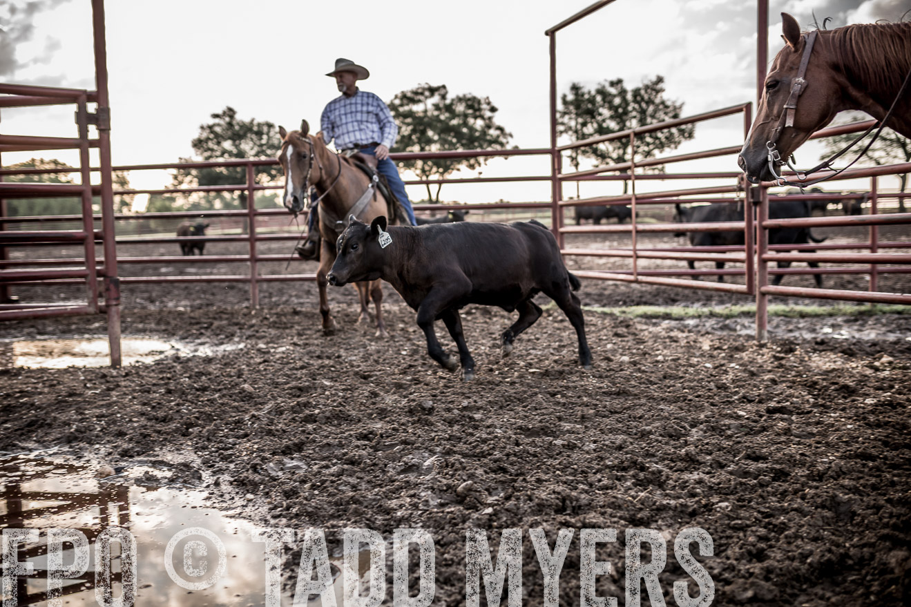 TMyers_CameronTX_June2016-6458