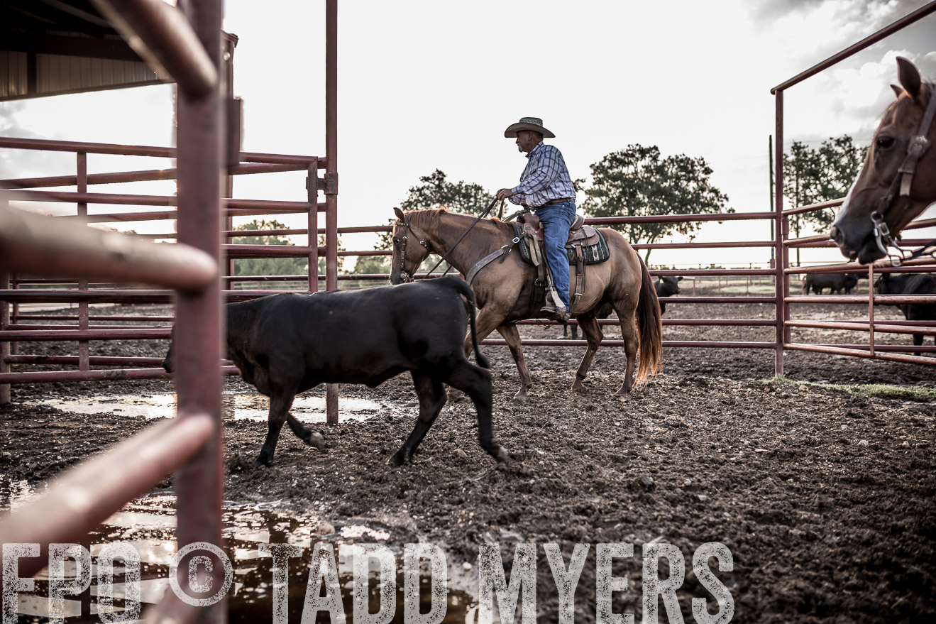 TMyers_CameronTX_June2016-6461