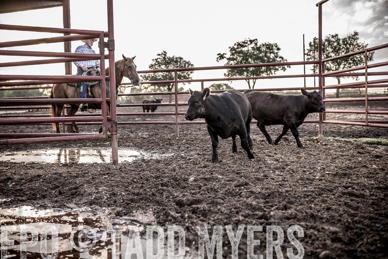 TMyers_CameronTX_June2016-6491