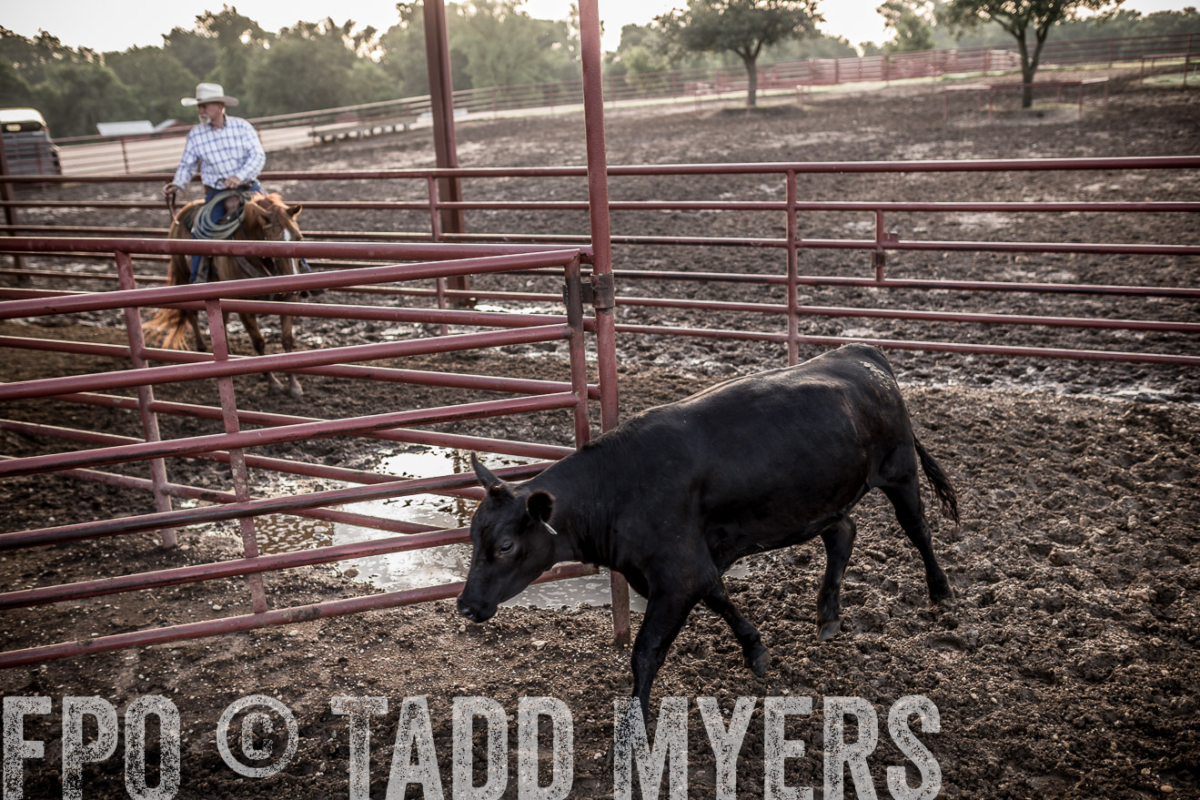 TMyers_CameronTX_June2016-6568