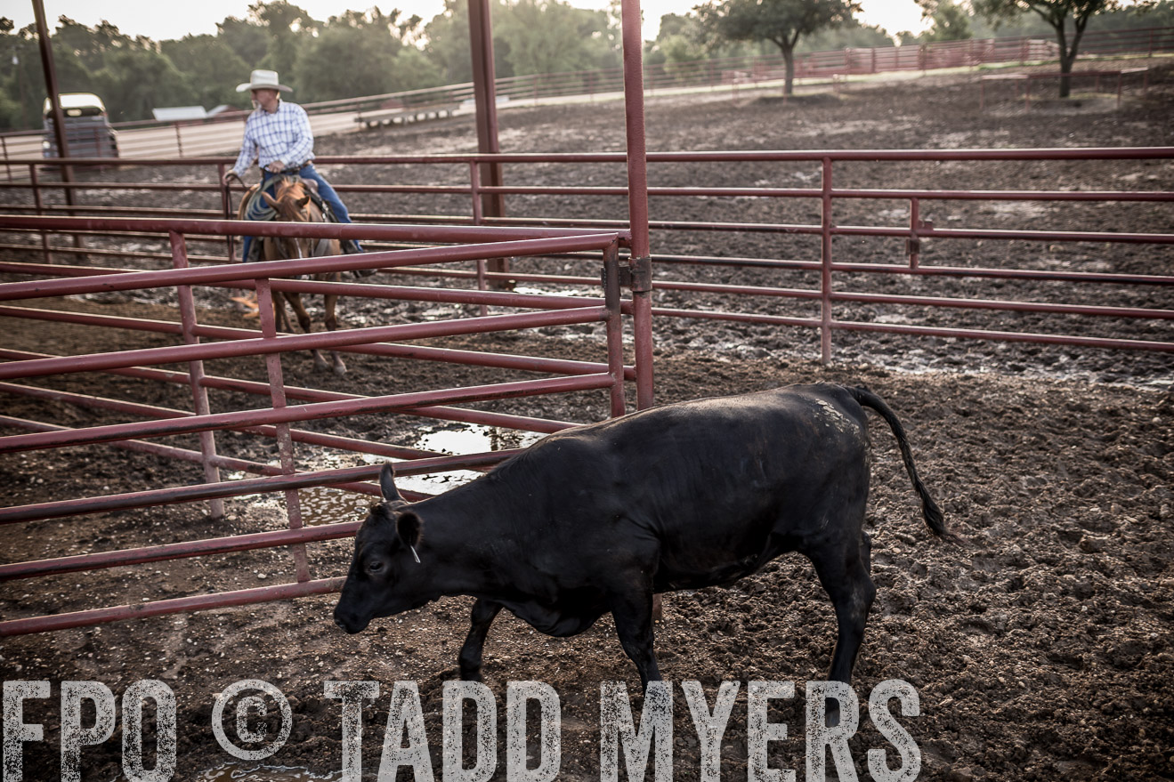 TMyers_CameronTX_June2016-6569