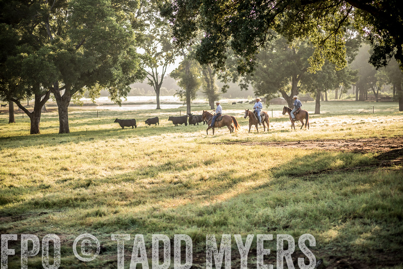 TMyers_CameronTX_June2016-6713