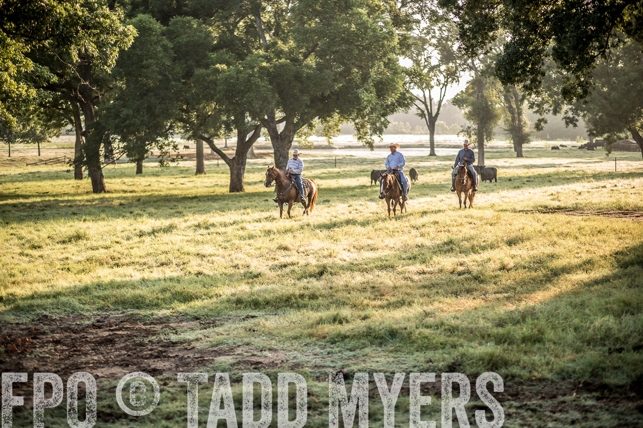 TMyers_CameronTX_June2016-6725