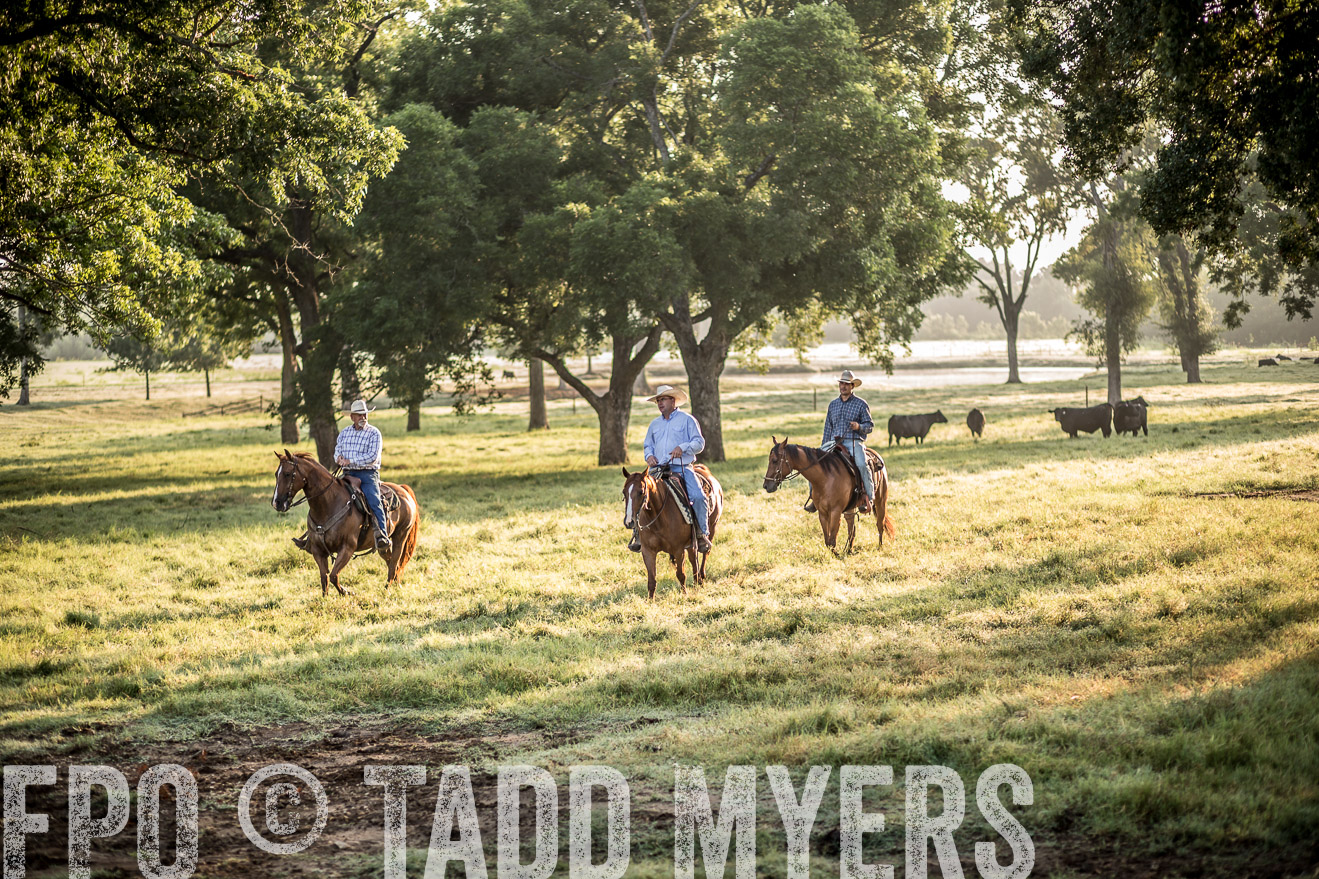 TMyers_CameronTX_June2016-6735