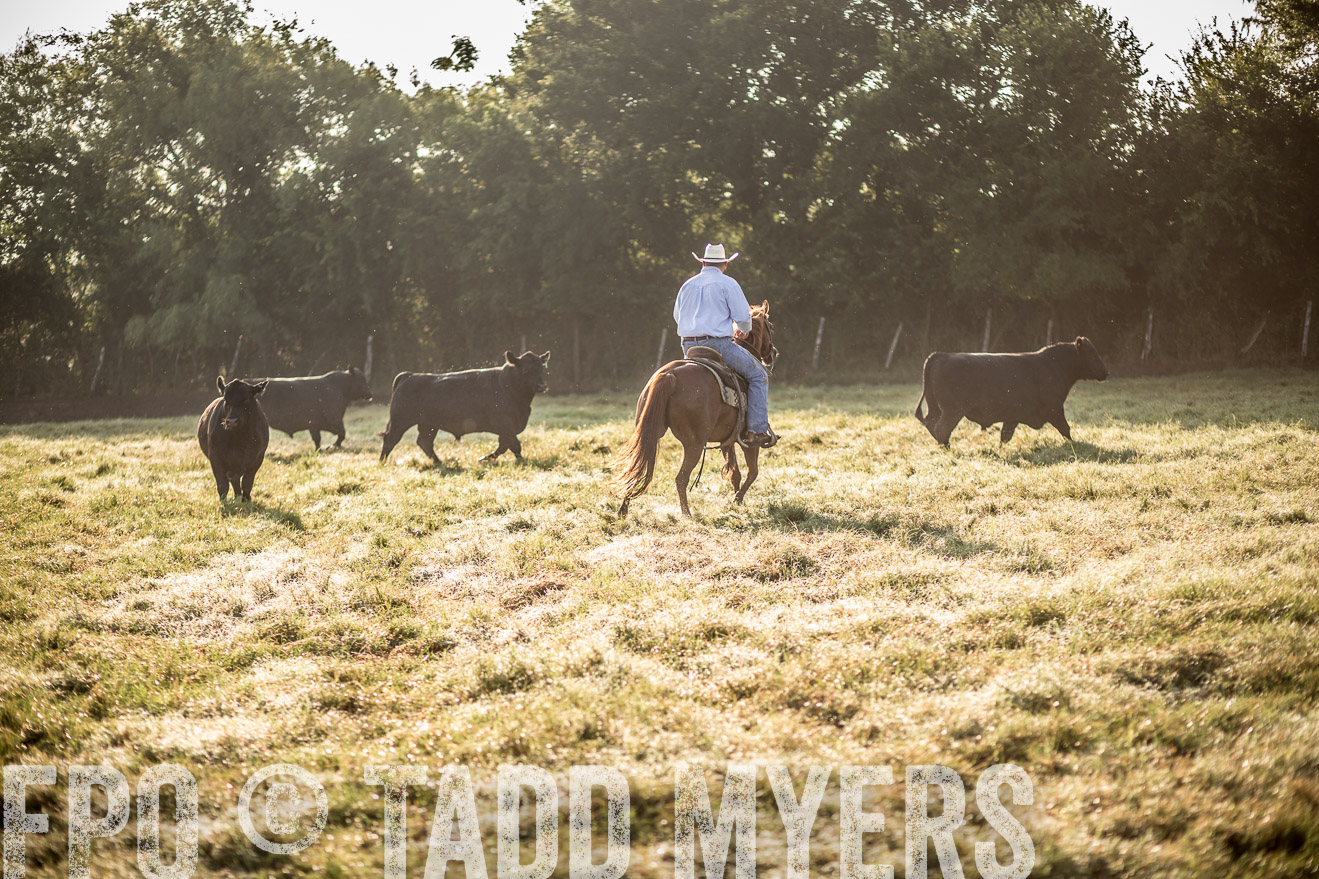 TMyers_CameronTX_June2016-6758