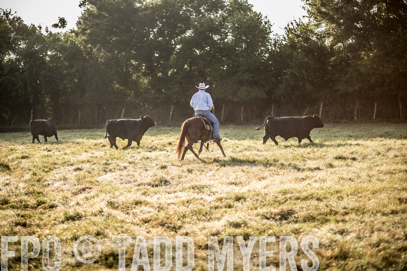 TMyers_CameronTX_June2016-6759