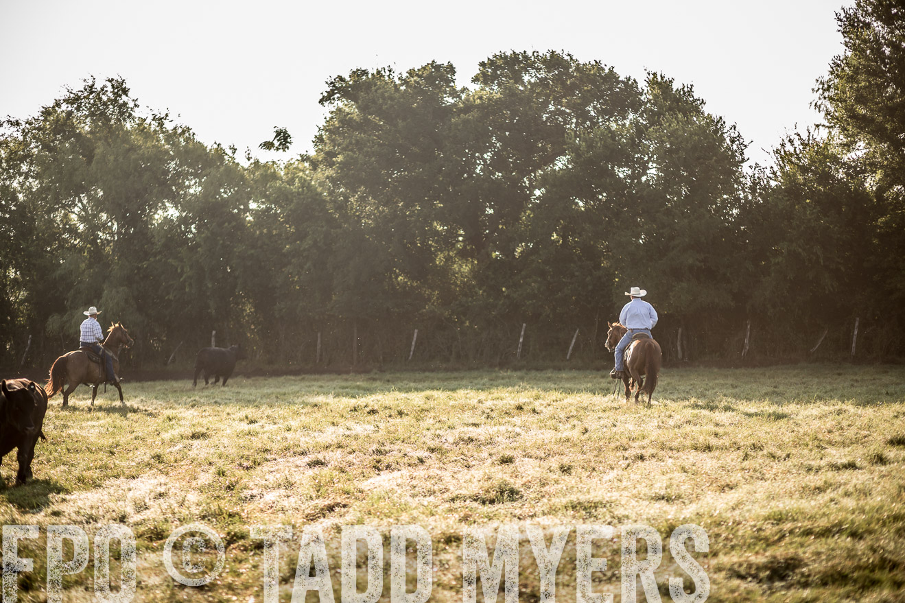 TMyers_CameronTX_June2016-6760