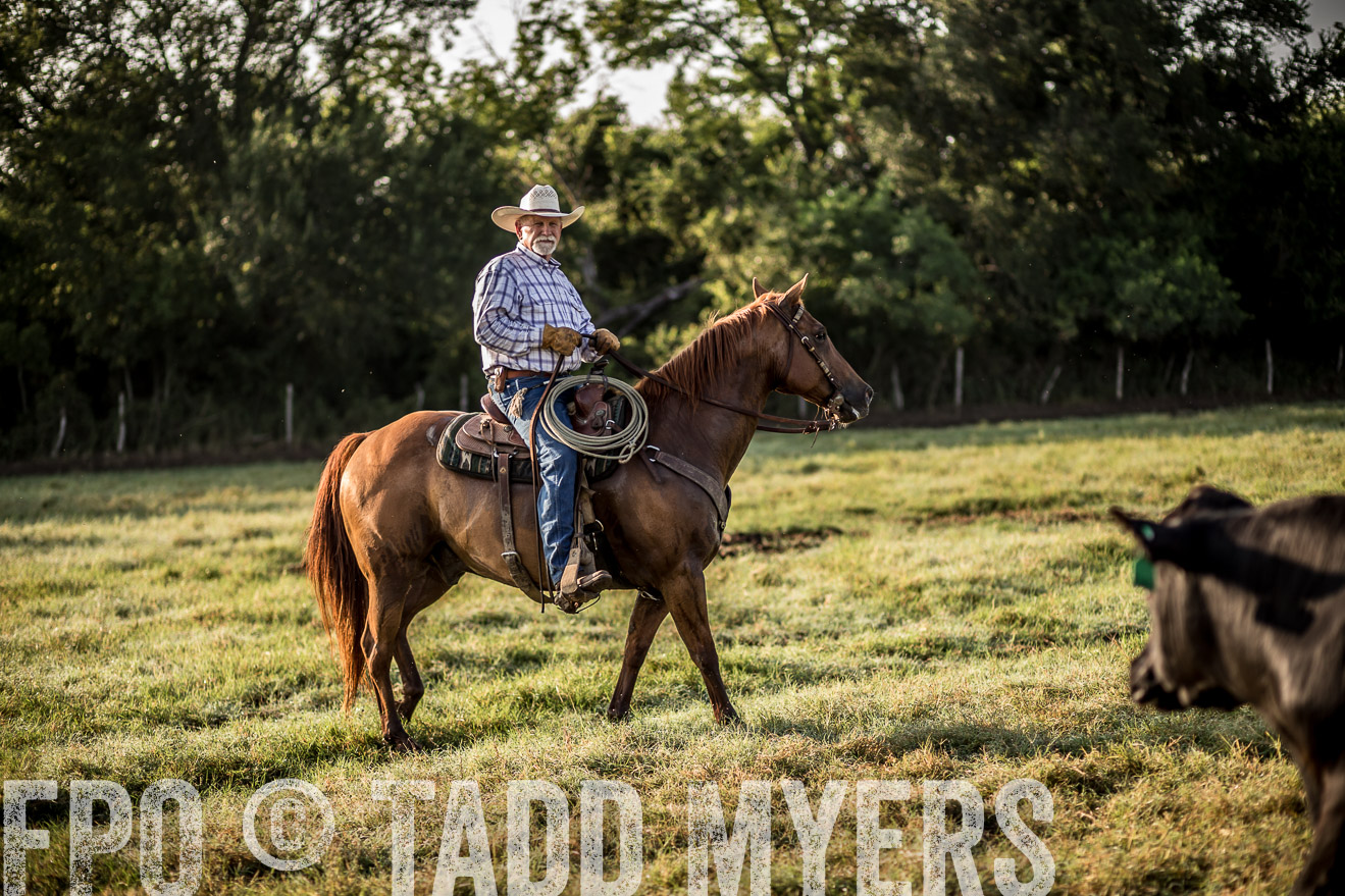 TMyers_CameronTX_June2016-6764