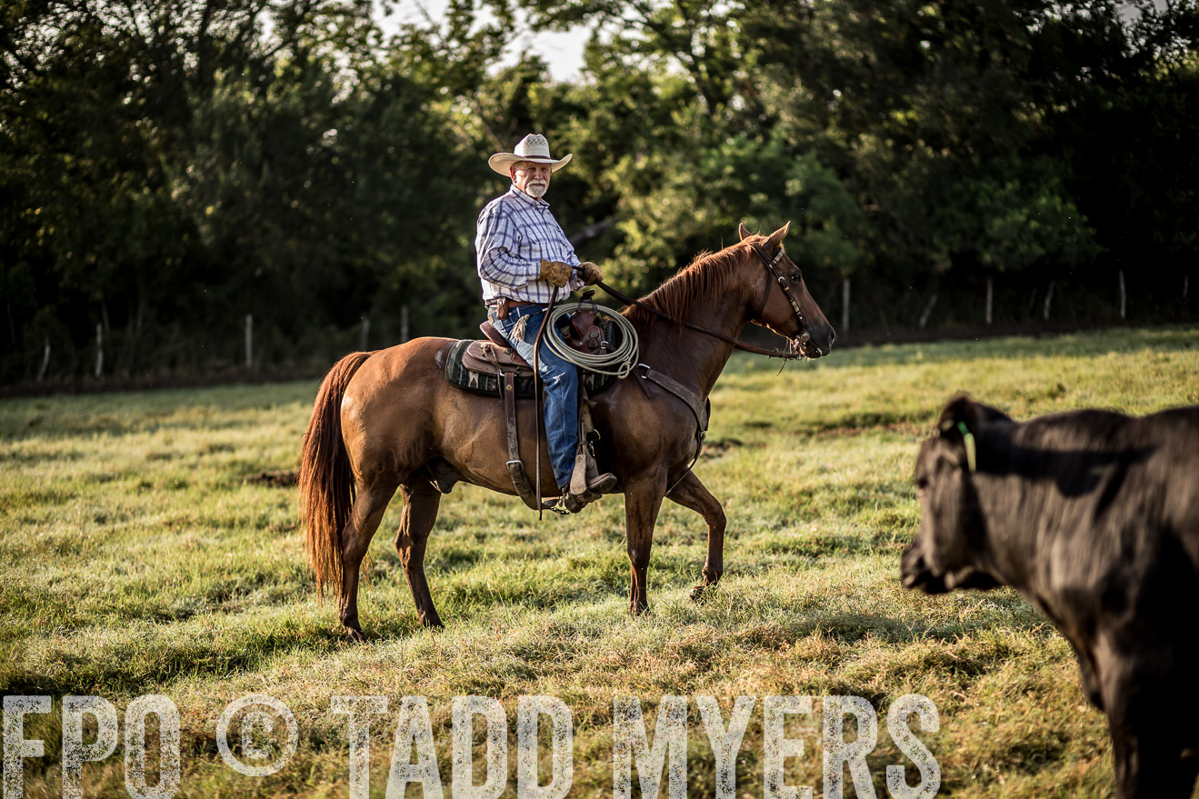 TMyers_CameronTX_June2016-6765
