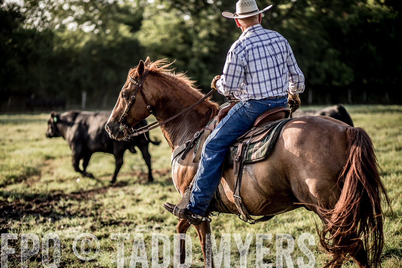 TMyers_CameronTX_June2016-6773