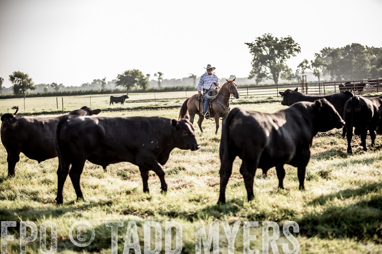 TMyers_CameronTX_June2016-6777