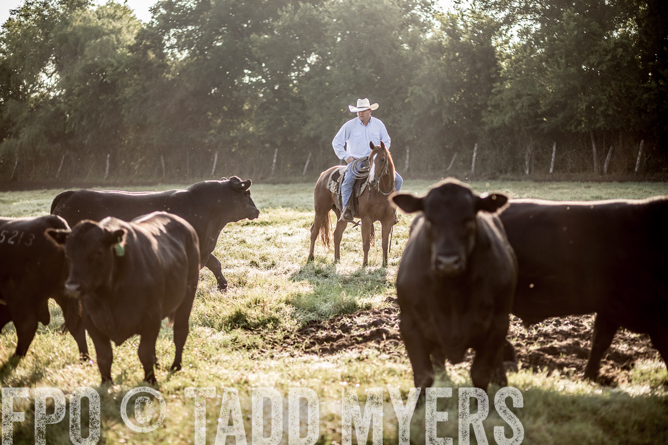 TMyers_CameronTX_June2016-6778