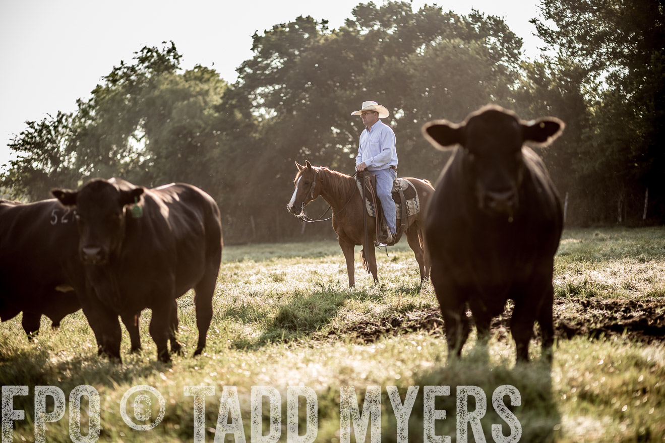 TMyers_CameronTX_June2016-6782