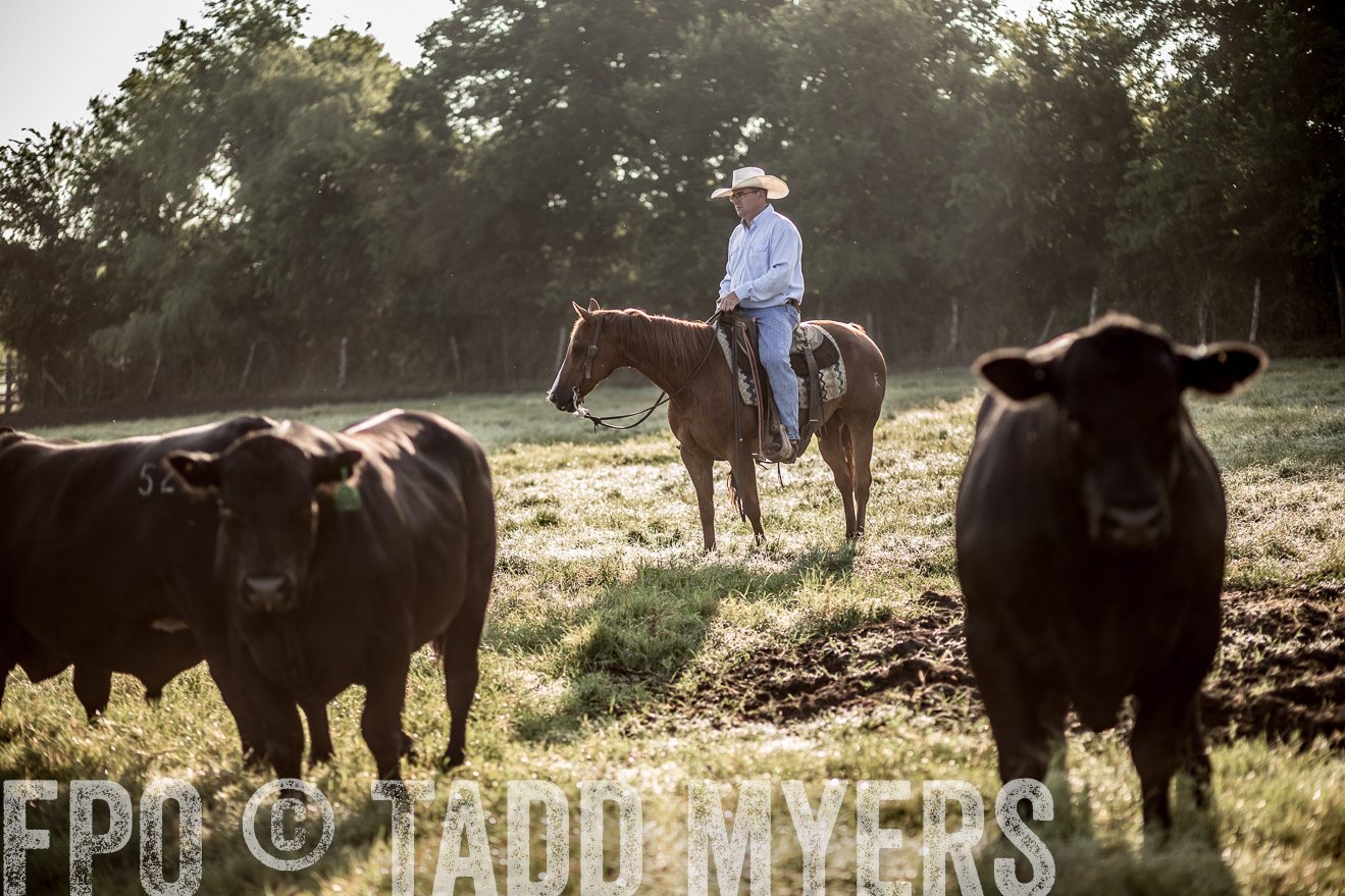 TMyers_CameronTX_June2016-6783