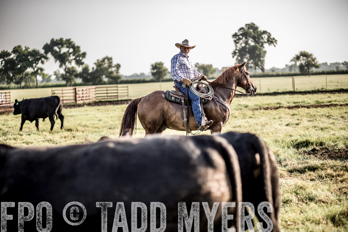 TMyers_CameronTX_June2016-6785