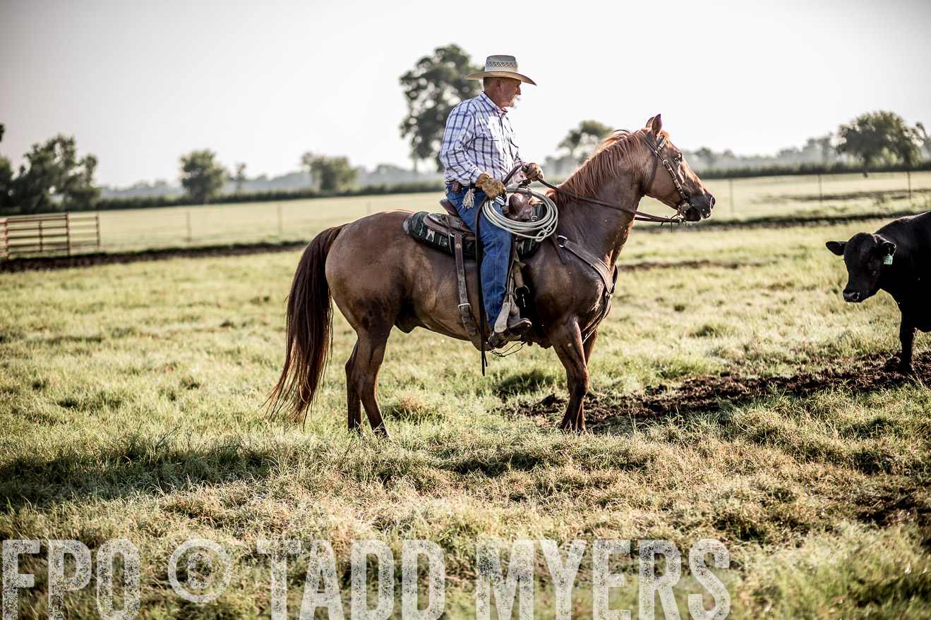 TMyers_CameronTX_June2016-6786