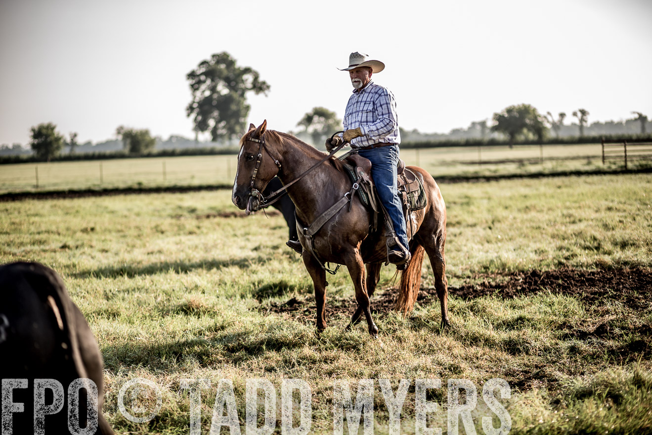 TMyers_CameronTX_June2016-6789