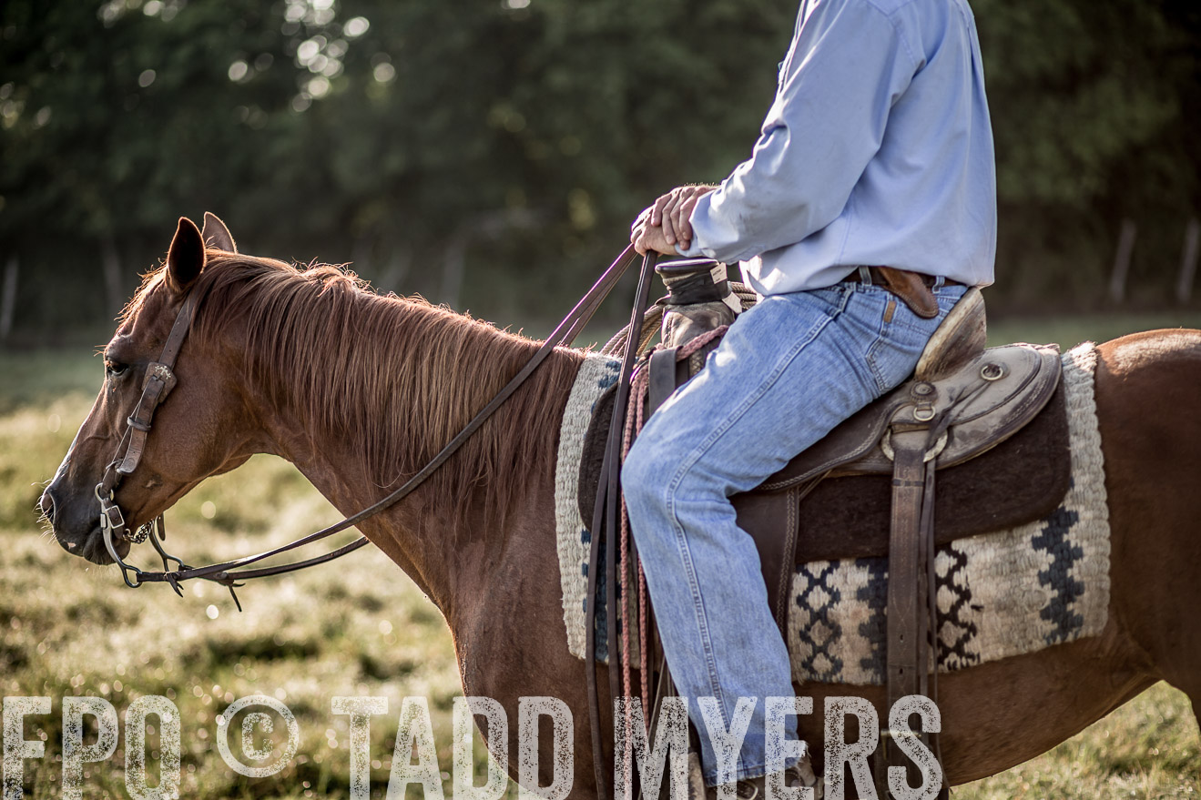 TMyers_CameronTX_June2016-6792