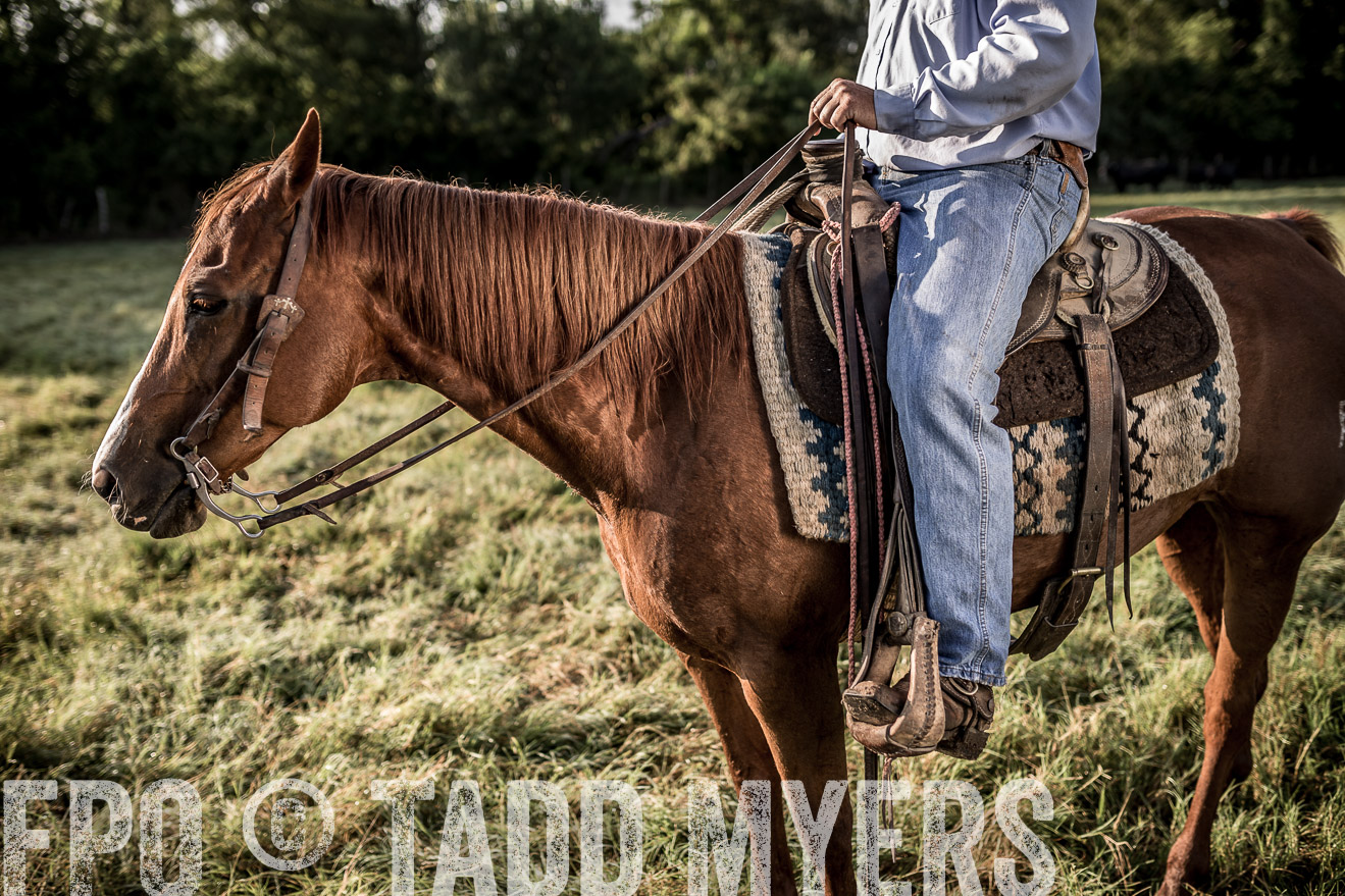 TMyers_CameronTX_June2016-6909