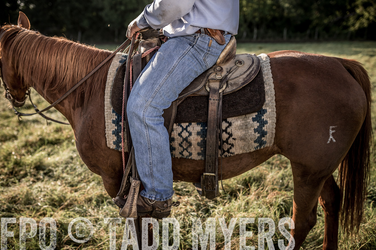 TMyers_CameronTX_June2016-6912